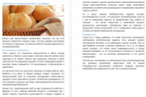 Статья о хлебе