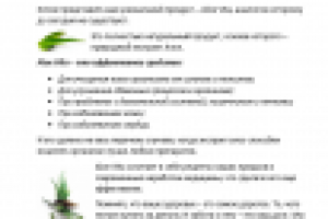 Продающая статья на сайт