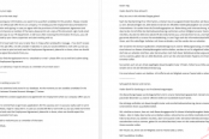 Перевод Engl-DE