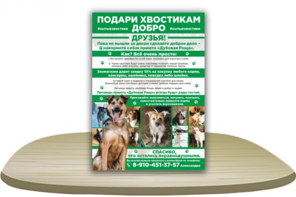 img4175389.png