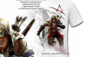 ПРИНТ ASSASIN'S Creed
