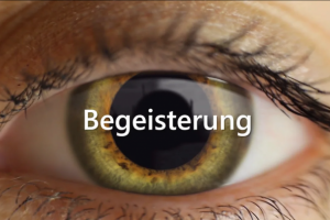 моуш-дизайн