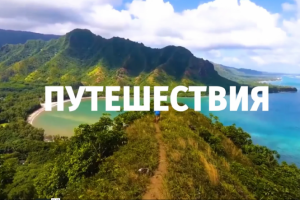 промо-ролик для мобильного приложения