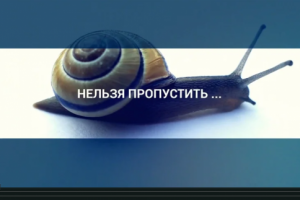 Анонс для сайта