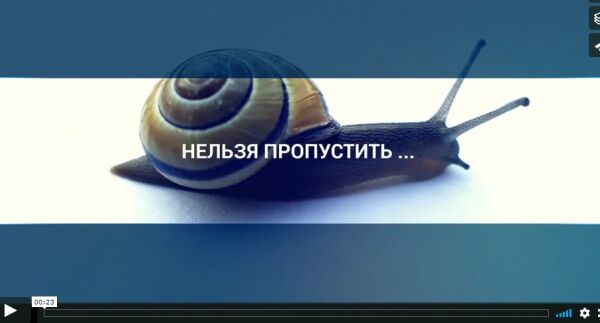 img3481102.png