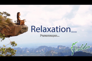 реклама приложения "Halotea"