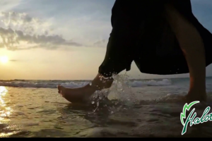 реклама приложения "Halotea"