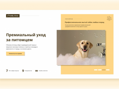 Puffy Clinic