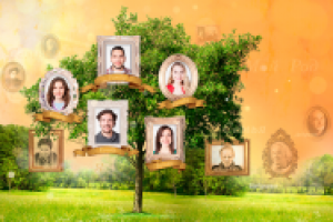 баннер "родовое дерево"