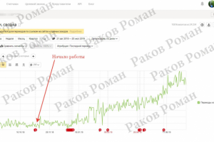 Рост посещаемости сайта Россия 2019
