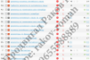 Продвижение крупного портала по онлайн репетиторству