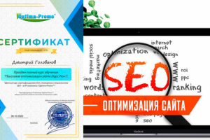 Онлайн курс поисковой оптимизации сайта (Pro+)