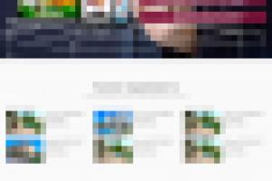 Разработка сайта для компании "Алмад"