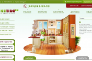 Разработка Интернет-магазина NeTide.ru