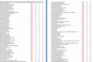 Оптимизация и продвижение интернет-магазина по продаже растений