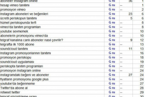Продвижение сайта на Турецком языке