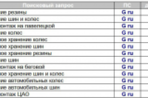 Продвижение сайта по хранению шин в Москве
