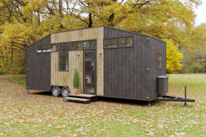Визуализация Tiny_House экстерьер