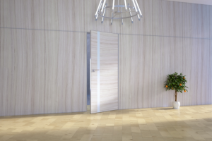 Двери в интерьере