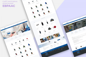 Создание интернет магазина для компании "Евраас"