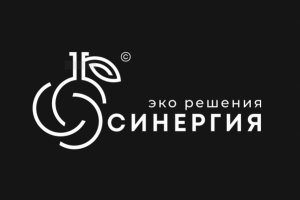 СИНЕРГИЯ