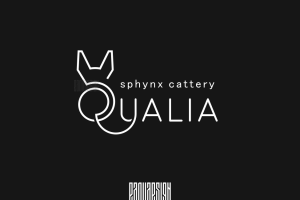 Qualia | cat cattery
