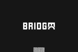 Bridge. Мост.