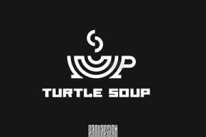 Turtle soup