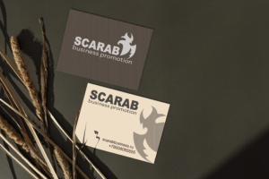 Логотип для компании SCARAB
