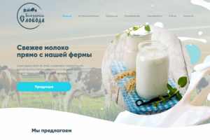 Белозерская слобода