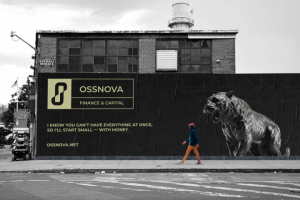 ossnova - финансы и капитал