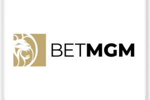 Парсер NJ.BETMGM.COM
