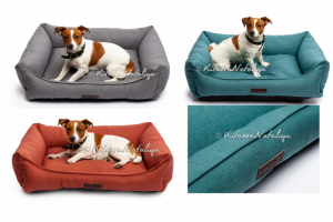 фотосъёмка товаров для животных с животными