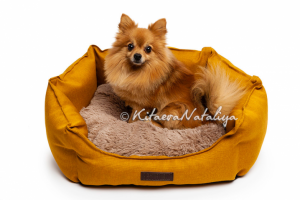 товары для животных