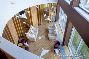 Фотосъёмка для Verba Mayr