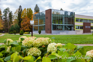 фотосъёмка зданий и прилегающих территорий
