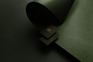 Визитка для здравницы «Лаго Наки»