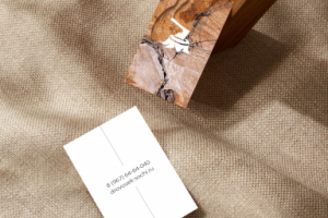 Визитка для компании «Дровосек»