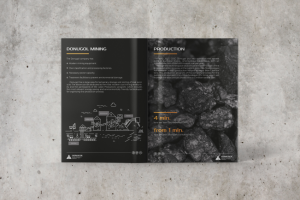 Презентационная брошюра для компании «ДонУголь»