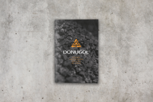 Презентационная брошюра для компании «ДонУголь»