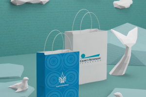 Дизайн пакетов