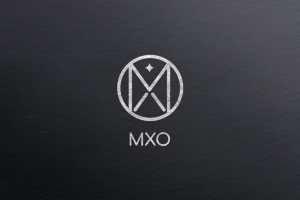 Логотип для компании МХО