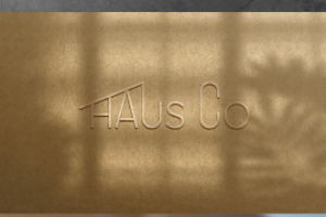 Разработка логотипа для компании HOUS Co