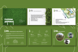 Презентация для компании «ГазоныДеревья»