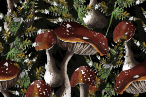 Паттерн (иллюстрация)