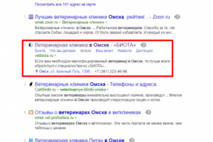 Ветеринар в Омске (2 место)