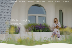 Дизайнерские дома,  европейский проект