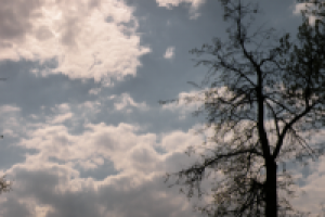 Работа 1654726