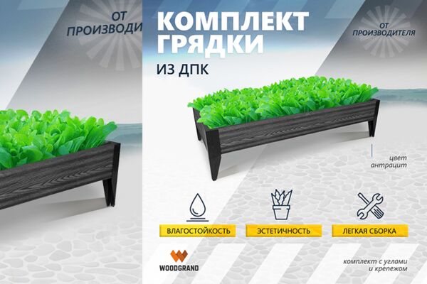 img4319444.png