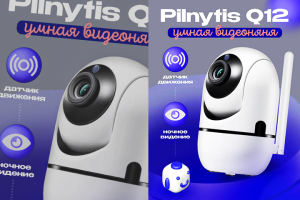 Инфографика Видеоняня